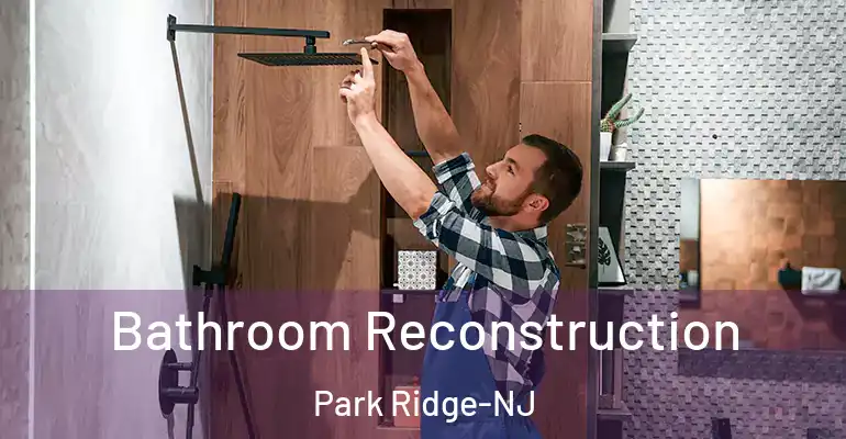 inner Bathroom imggen Bathroom Reconstruction Park Ridge-NJ