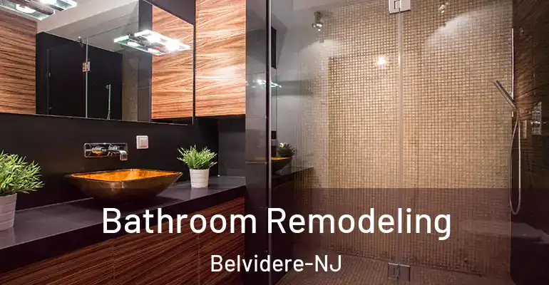 inner Bathroom imggen Bathroom Remodeling Belvidere-NJ