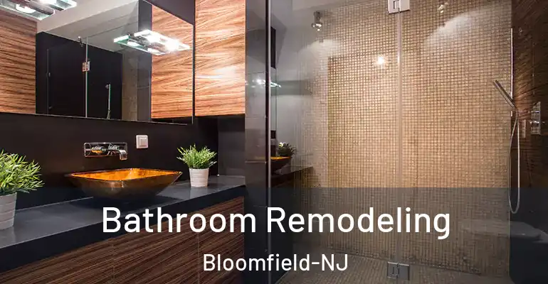 inner Bathroom imggen Bathroom Remodeling Bloomfield-NJ