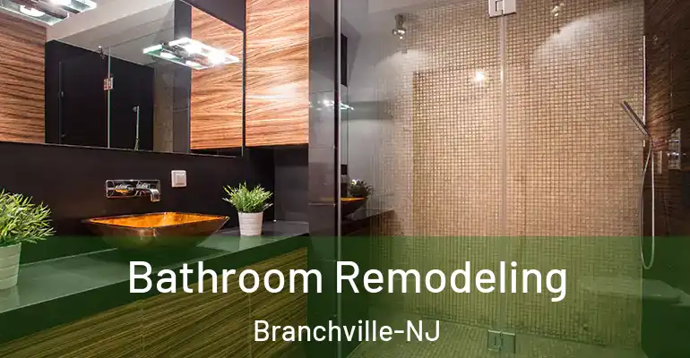 inner Bathroom imggen Bathroom Remodeling Branchville-NJ