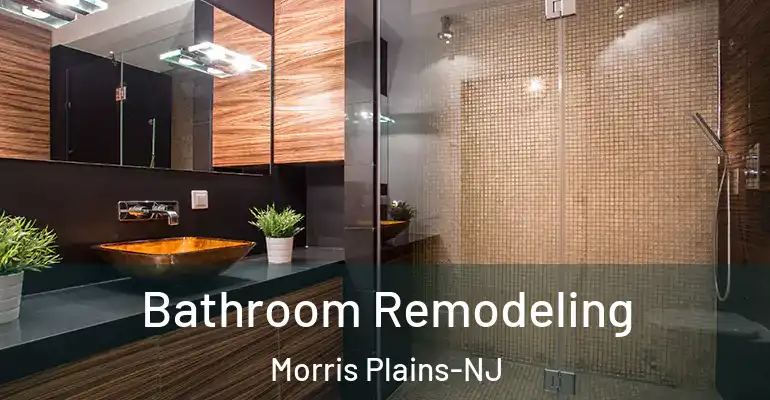 inner Bathroom imggen Bathroom Remodeling Morris Plains-NJ