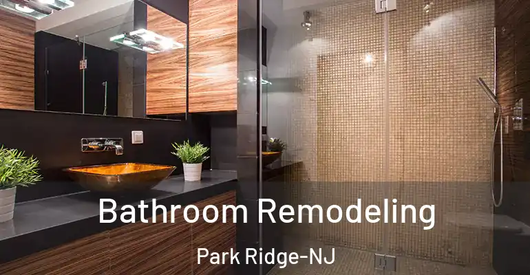 inner Bathroom imggen Bathroom Remodeling Park Ridge-NJ