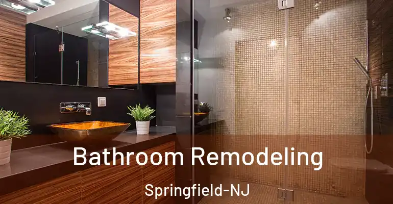 inner Bathroom imggen Bathroom Remodeling Springfield-NJ
