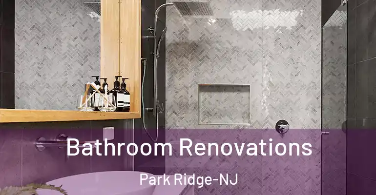 inner Bathroom imggen Bathroom Renovations Park Ridge-NJ
