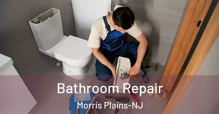 inner Bathroom imggen Bathroom Repair Morris Plains-NJ