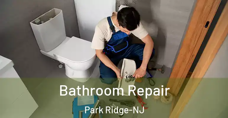 inner Bathroom imggen Bathroom Repair Park Ridge-NJ