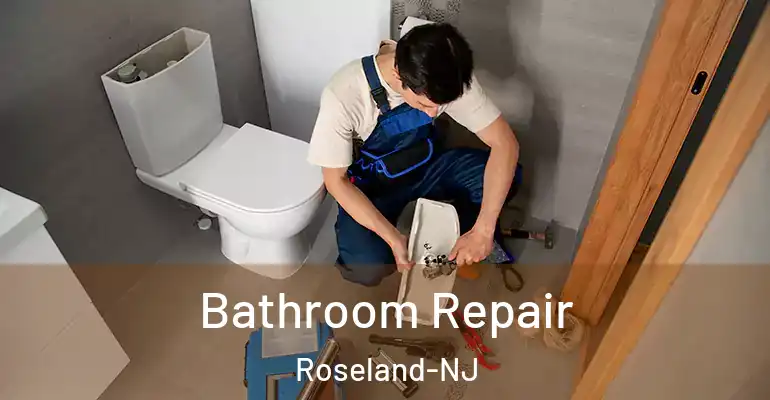inner Bathroom imggen Bathroom Repair Roseland-NJ