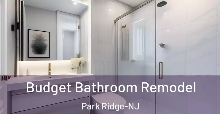 inner Bathroom imggen Budget Bathroom Remodel Park Ridge-NJ