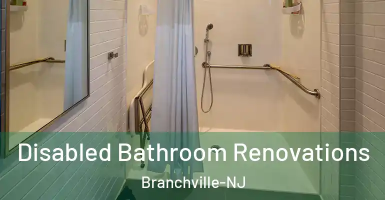 inner Bathroom imggen Disabled Bathroom Renovations Branchville-NJ