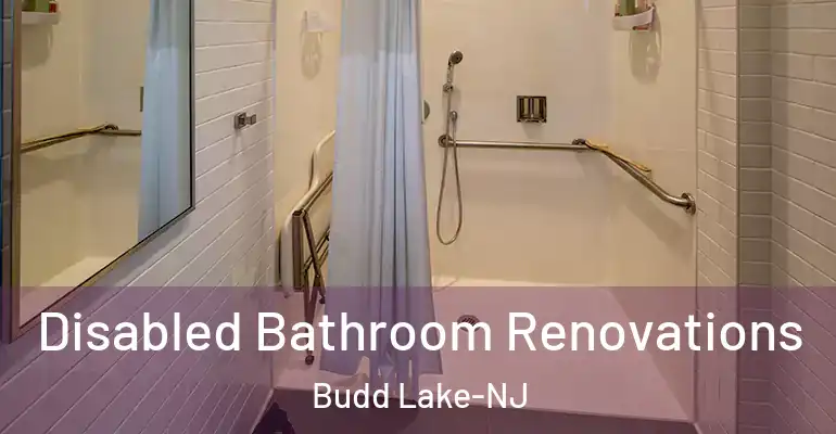 inner Bathroom imggen Disabled Bathroom Renovations Budd Lake-NJ