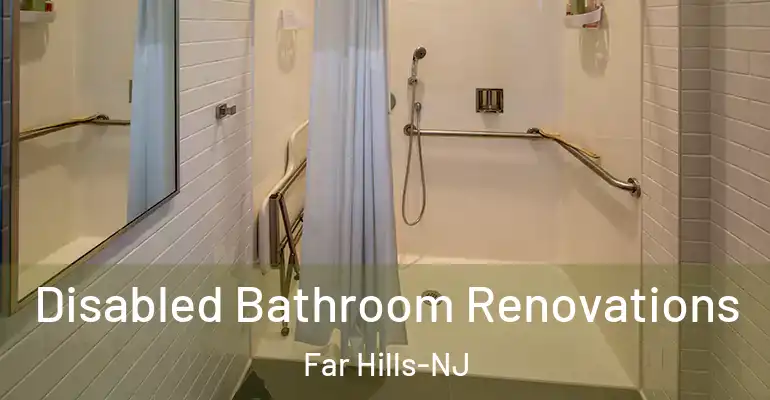 inner Bathroom imggen Disabled Bathroom Renovations Far Hills-NJ