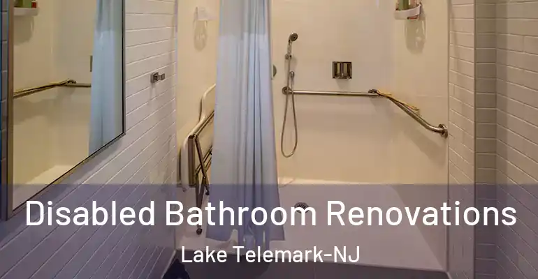 inner Bathroom imggen Disabled Bathroom Renovations Lake Telemark-NJ