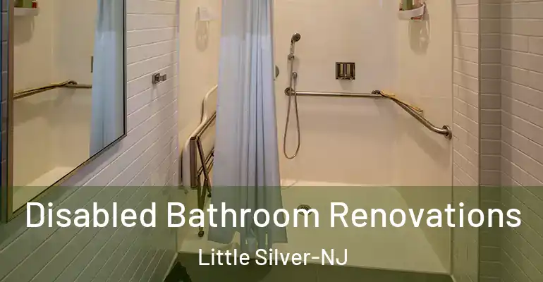 inner Bathroom imggen Disabled Bathroom Renovations Little Silver-NJ