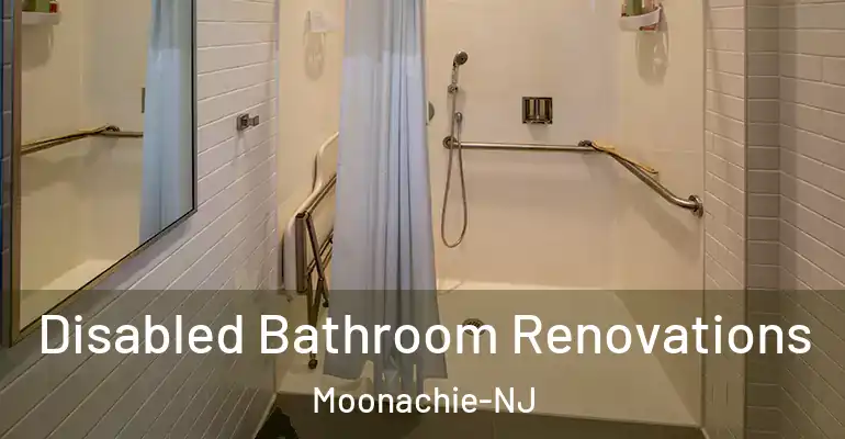 inner Bathroom imggen Disabled Bathroom Renovations Moonachie-NJ
