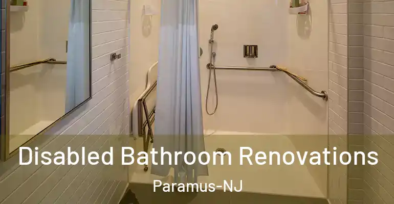 inner Bathroom imggen Disabled Bathroom Renovations Paramus-NJ