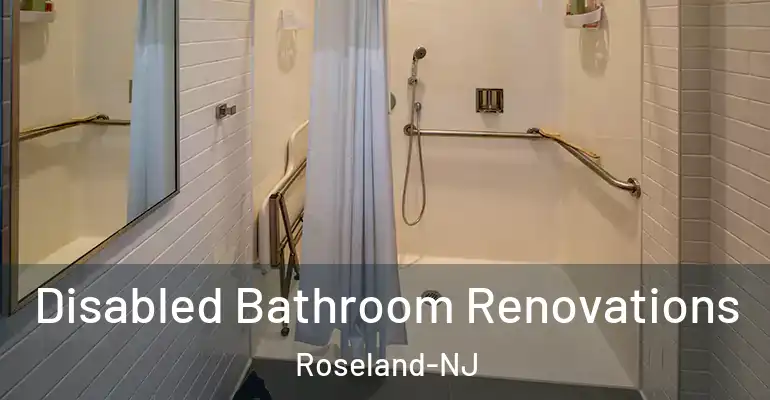 inner Bathroom imggen Disabled Bathroom Renovations Roseland-NJ
