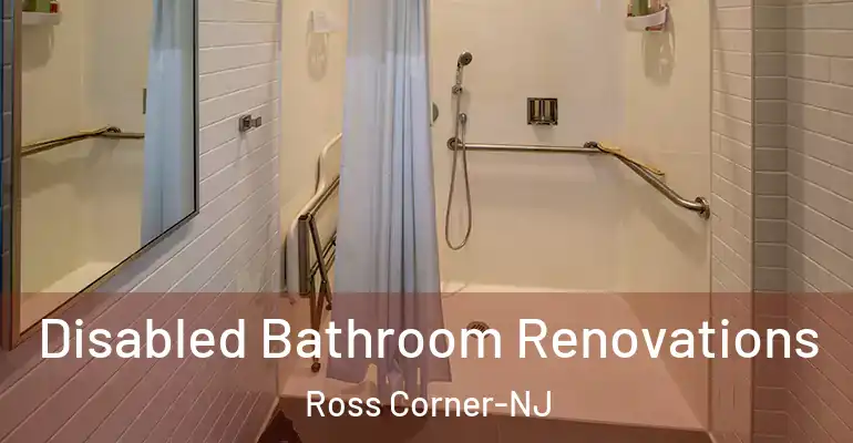 inner Bathroom imggen Disabled Bathroom Renovations Ross Corner-NJ