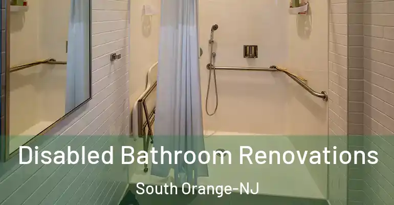 inner Bathroom imggen Disabled Bathroom Renovations South Orange-NJ