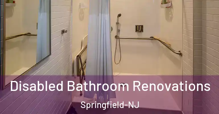 inner Bathroom imggen Disabled Bathroom Renovations Springfield-NJ
