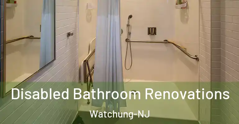 inner Bathroom imggen Disabled Bathroom Renovations Watchung-NJ