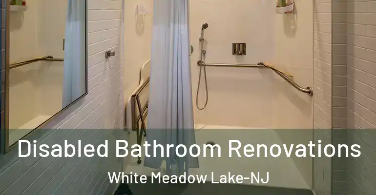inner Bathroom imggen Disabled Bathroom Renovations White Meadow Lake-NJ