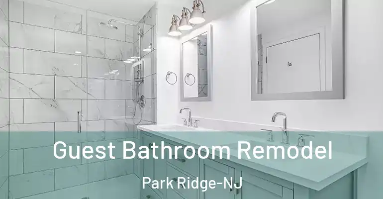 inner Bathroom imggen Guest Bathroom Remodel Park Ridge-NJ