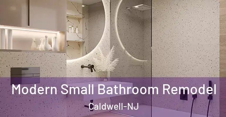 inner Bathroom imggen Modern Small Bathroom Remodel Caldwell-NJ