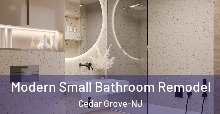 inner Bathroom imggen Modern Small Bathroom Remodel Cedar Grove-NJ