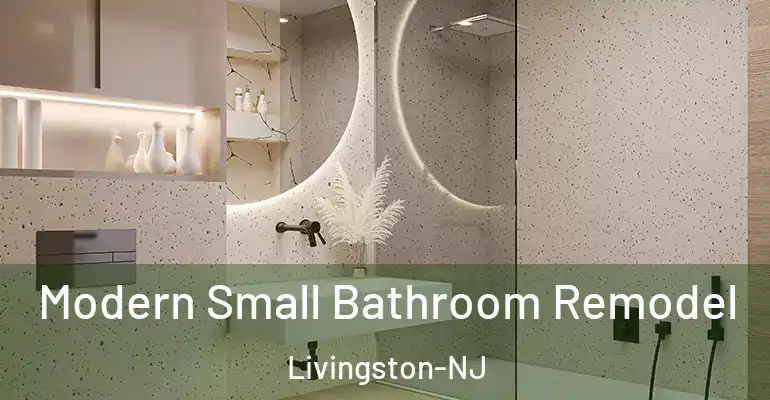 inner Bathroom imggen Modern Small Bathroom Remodel Livingston-NJ