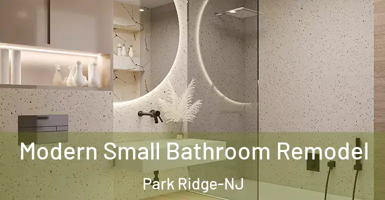 inner Bathroom imggen Modern Small Bathroom Remodel Park Ridge-NJ