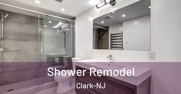 inner Bathroom imggen Shower Remodel Clark-NJ
