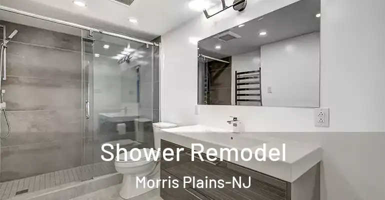 inner Bathroom imggen Shower Remodel Morris Plains-NJ