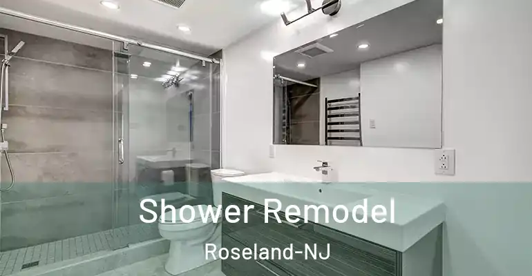 inner Bathroom imggen Shower Remodel Roseland-NJ