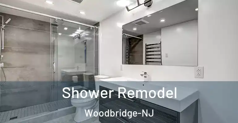 inner Bathroom imggen Shower Remodel Woodbridge-NJ