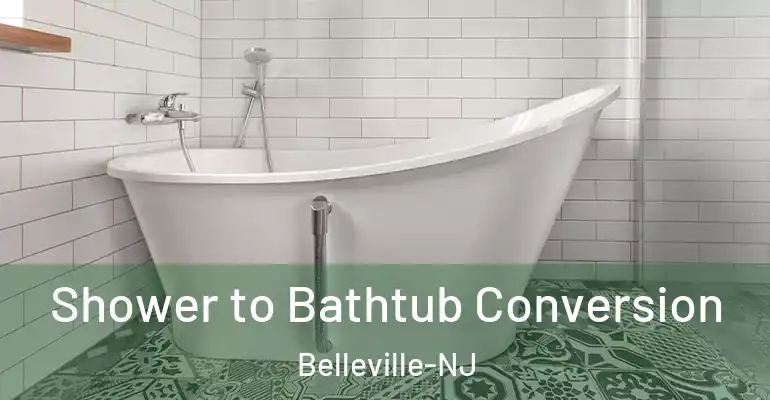 inner Bathroom imggen Shower to Bathtub Conversion Belleville-NJ