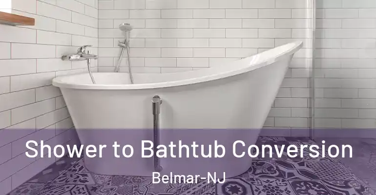 inner Bathroom imggen Shower to Bathtub Conversion Belmar-NJ