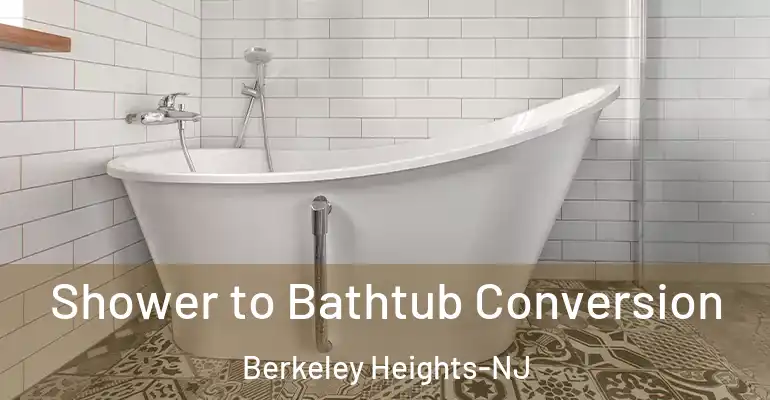 inner Bathroom imggen Shower to Bathtub Conversion Berkeley Heights-NJ