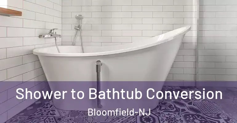 inner Bathroom imggen Shower to Bathtub Conversion Bloomfield-NJ