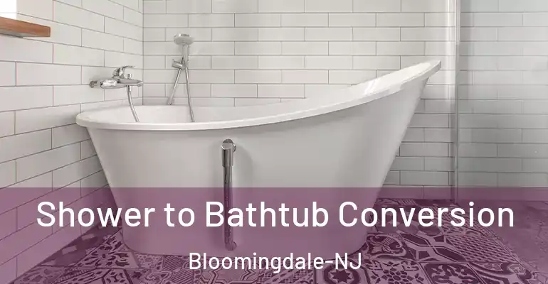inner Bathroom imggen Shower to Bathtub Conversion Bloomingdale-NJ