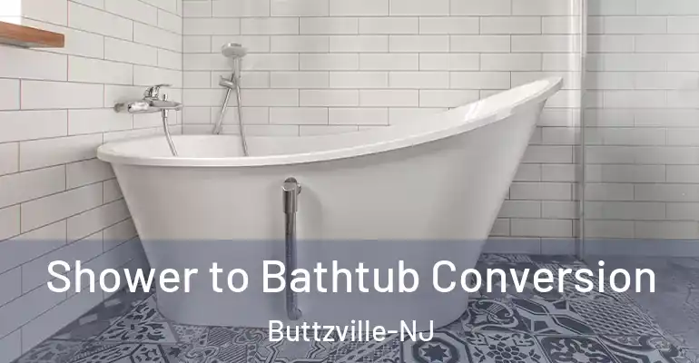 inner Bathroom imggen Shower to Bathtub Conversion Buttzville-NJ