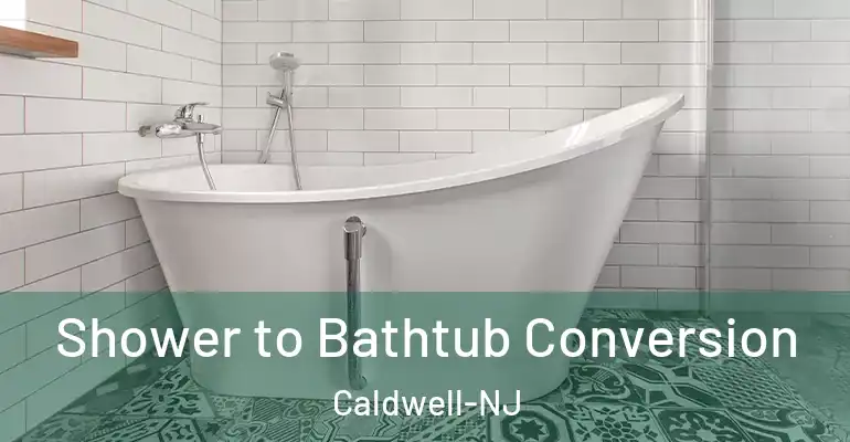 inner Bathroom imggen Shower to Bathtub Conversion Caldwell-NJ