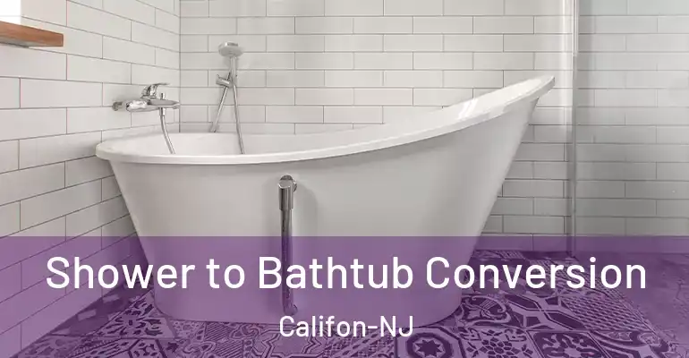 inner Bathroom imggen Shower to Bathtub Conversion Califon-NJ