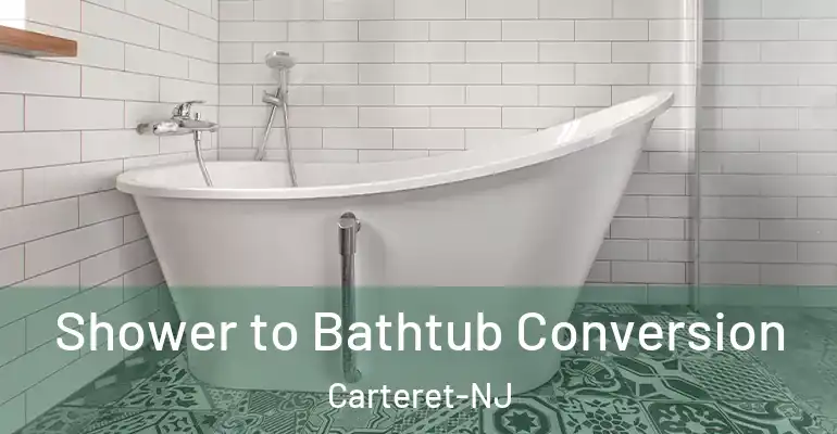 inner Bathroom imggen Shower to Bathtub Conversion Carteret-NJ