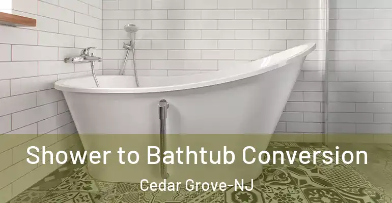 inner Bathroom imggen Shower to Bathtub Conversion Cedar Grove-NJ
