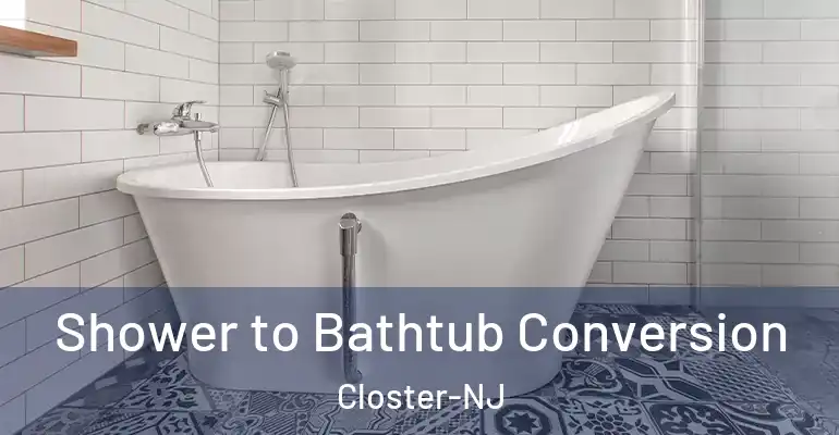 inner Bathroom imggen Shower to Bathtub Conversion Closter-NJ