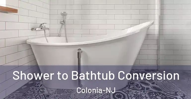 inner Bathroom imggen Shower to Bathtub Conversion Colonia-NJ