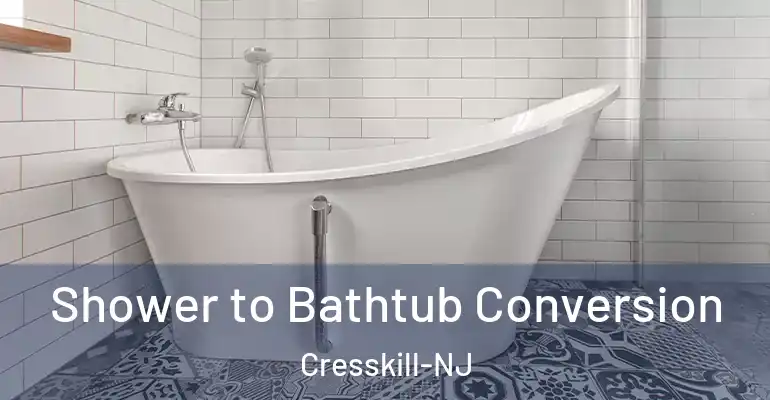 inner Bathroom imggen Shower to Bathtub Conversion Cresskill-NJ