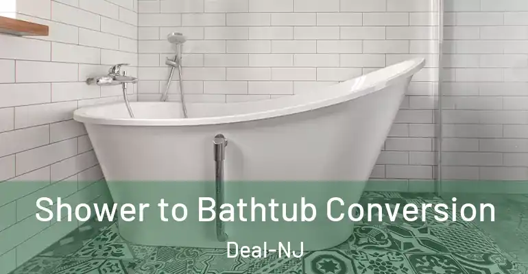 inner Bathroom imggen Shower to Bathtub Conversion Deal-NJ