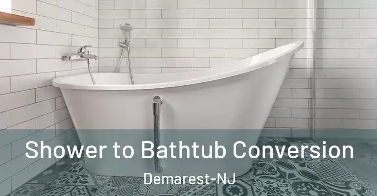 inner Bathroom imggen Shower to Bathtub Conversion Demarest-NJ