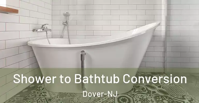 inner Bathroom imggen Shower to Bathtub Conversion Dover-NJ